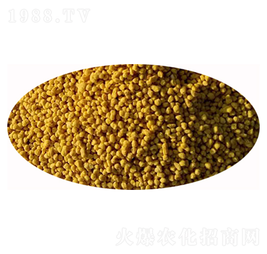 �����w�����Sɫ��-���M�}-�S����