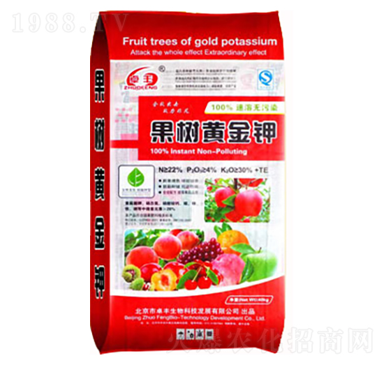 �����S��⛣��t��-�����ʘI(y��)