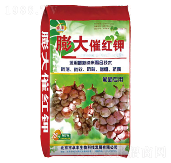 ���ь���-���߼t�-�����ʘI(y��)