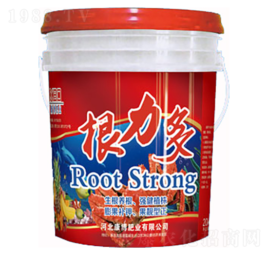 ������-�����ʘI(y��)