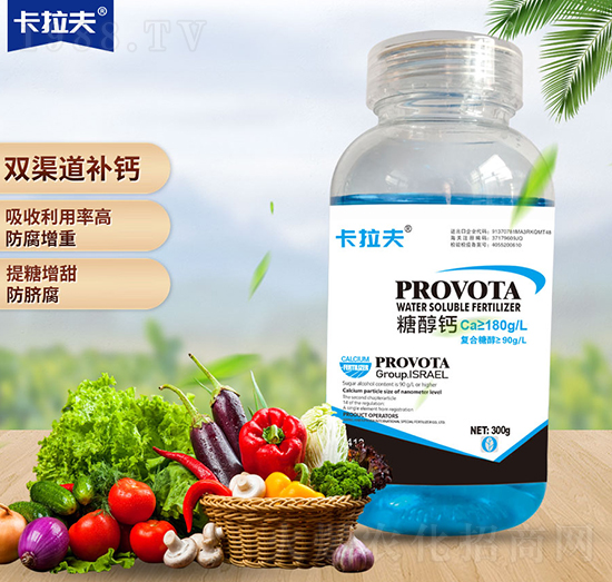 �Ǵ��}-������