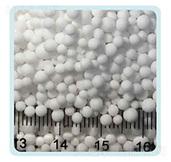 ���w������-���P����