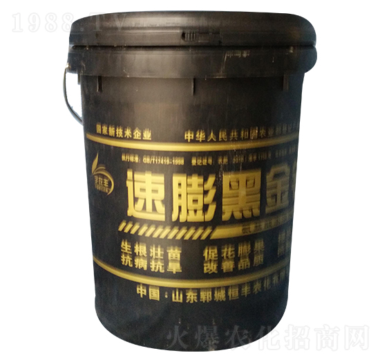 ����ڽ��-���S�r��