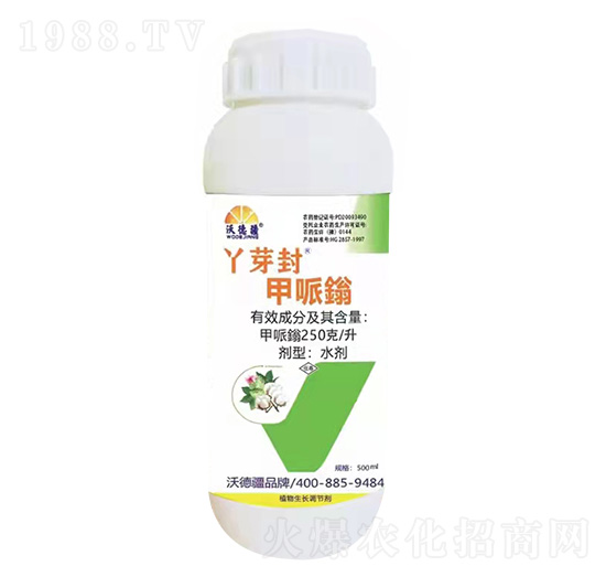 Ѿѿ������f-�ֵ½�-���֠��r�I(y��)