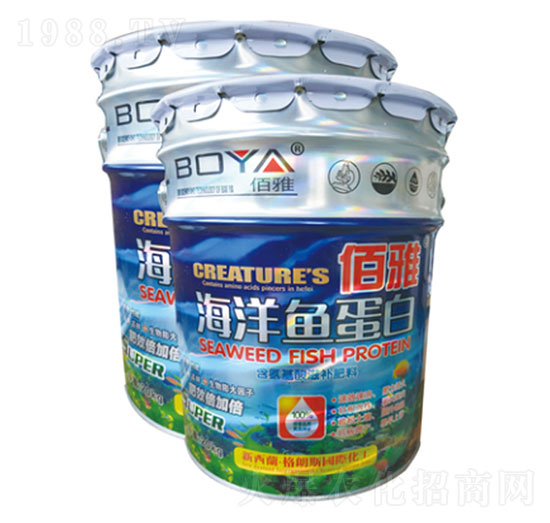 �����~(y��)����-ʥ�ɶ�