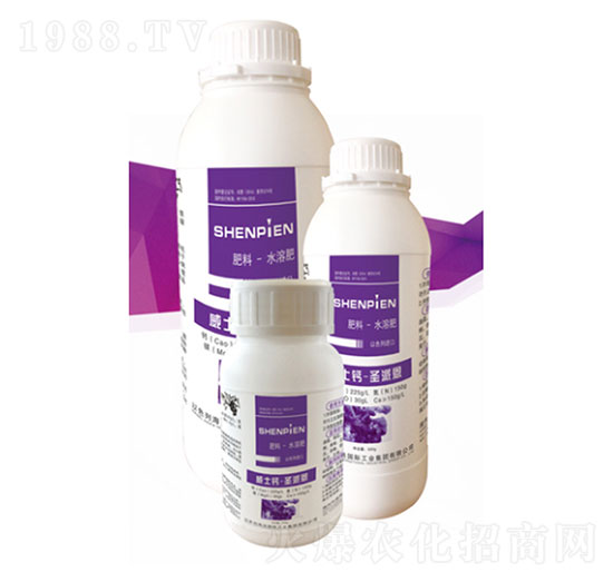 ��ʿ�}-ʥ�ɶ�