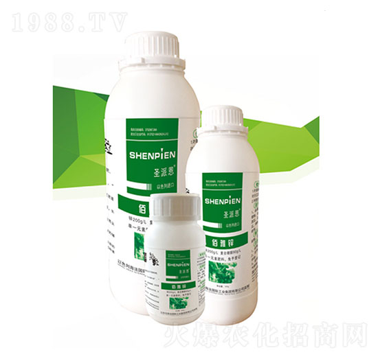 �����\-ʥ�ɶ�