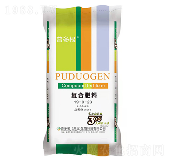 �ͺϷ���19-9-23-�ն��