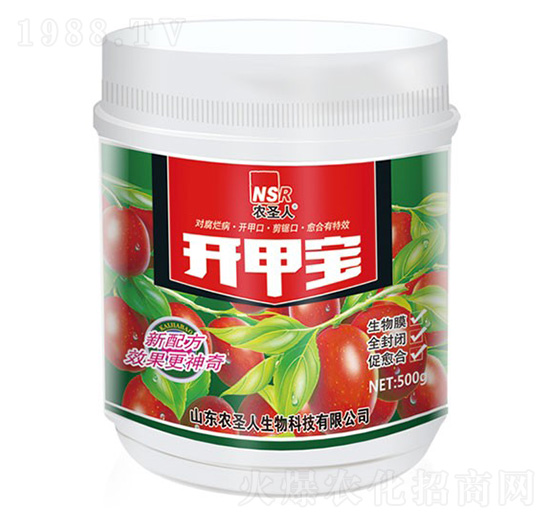 �����_�ׂ������τ�-�_�׌�-�r(n��ng)ʥ��