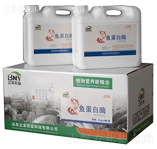 �~����ø-�����r(n��ng)�I(y��)