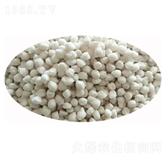 �����@-˼�˻���