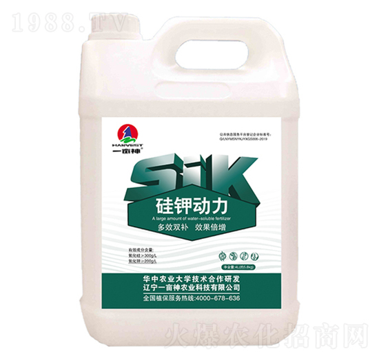 ��⛄���-һ����