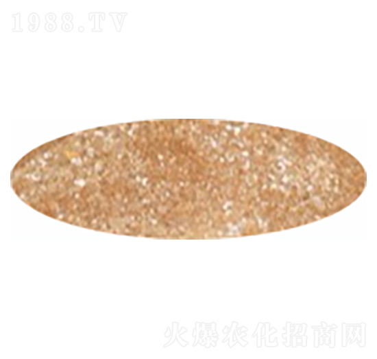 �ͺ��������-�����_