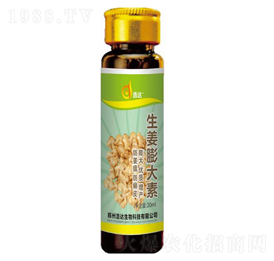 ���������-���_����