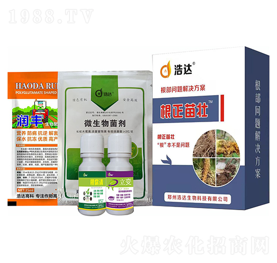 �������-���_����