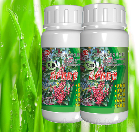 �����߮a�����-˹�ؿ�