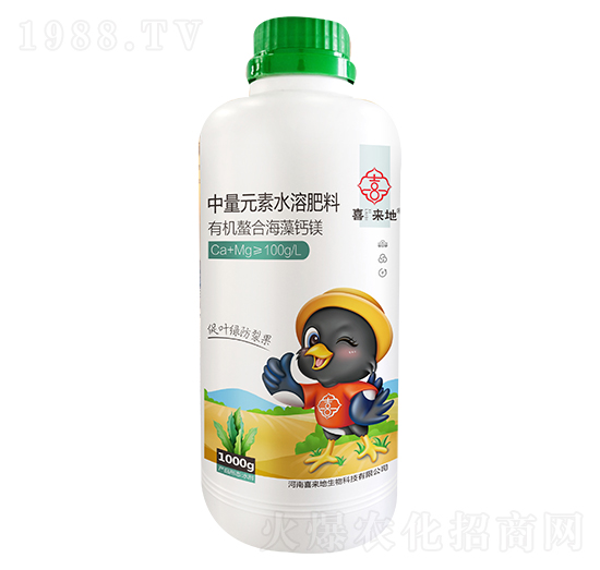 �ЙC���Ϻ����}�V-ϲ����