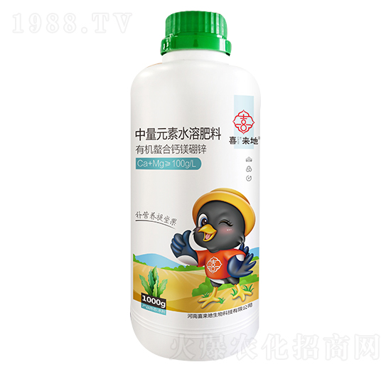 �ЙC�����}�V���\-ϲ����