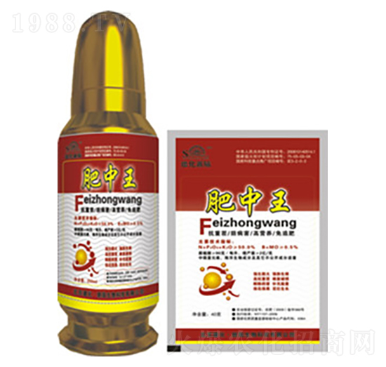 ������-�»�