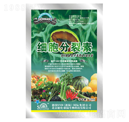 ����������-�»�