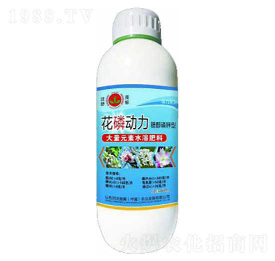 ���ׄ���-�»�