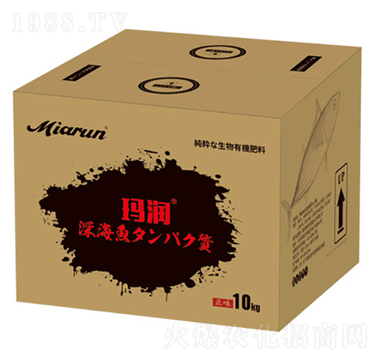 �ձ��M(j��n)���~(y��)����-����(r��n)-����