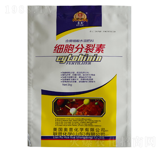 ����������-(li��n)�ջ��W