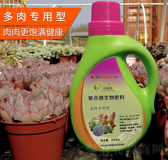 ���⌣���͏�(f��)��΢�������-������