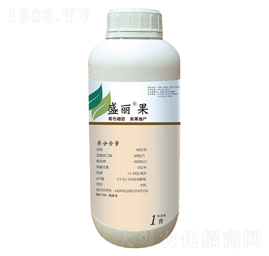 ʢ����-��������