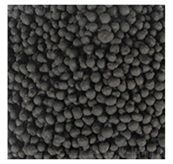 ��ֲ���ЙC(j��)��-��?yu��n)W�Ƽ�