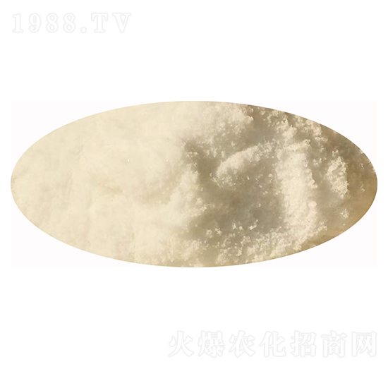 ��������-�l(f��)ؔ��