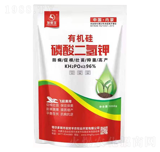 �ЙC(j��)����������-�l(f��)ؔ(c��i)��