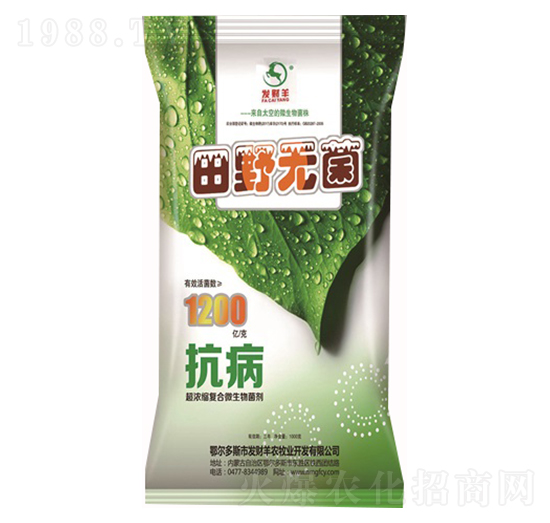 ����s�ͺ�΢�������-��Ұ�o��-�l(f��)ؔ��