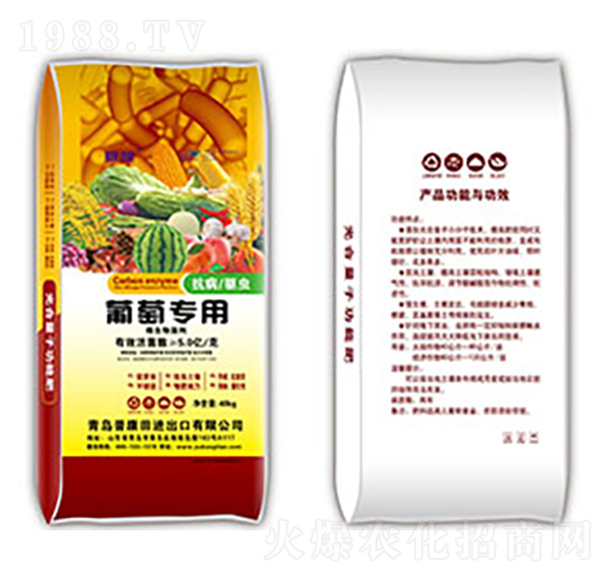 ���ь�(zhu��n)�þ���-�տ���