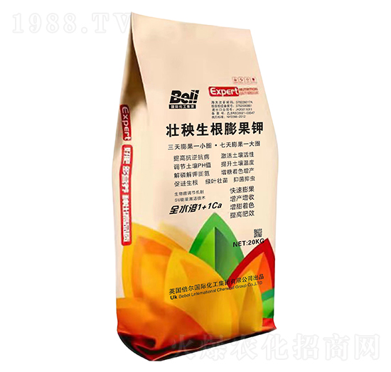 ������������-Ӣ������-�տ���