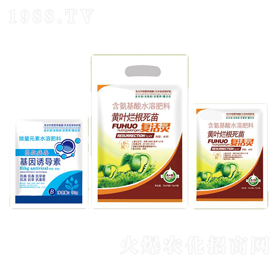 �S�~��������ͻ��`+�����T����-�ֵϾ�