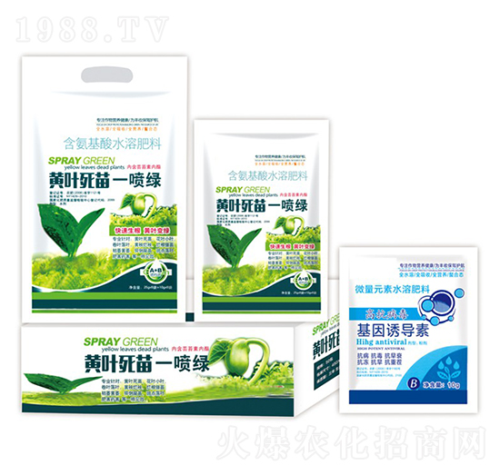 �S�~����һ���G+�����T��(d��o)��-�ֵϾ�