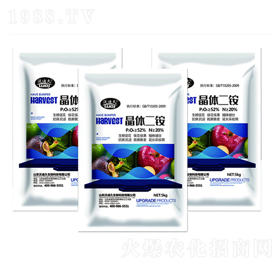 ���w���@-�ֵϾ�