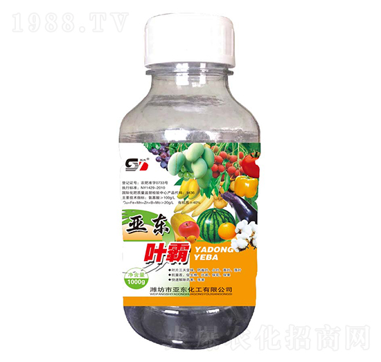 ���|�~��-�p�|-���|����