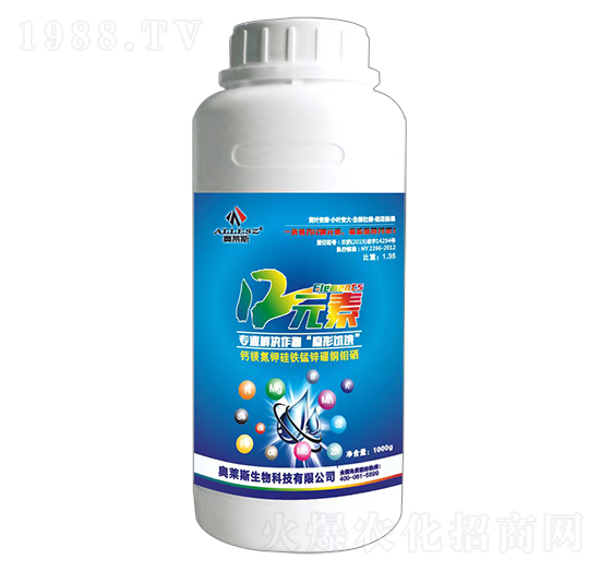 12Ԫ��-�W�R˹