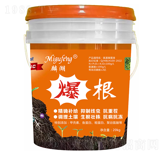 ����-�������