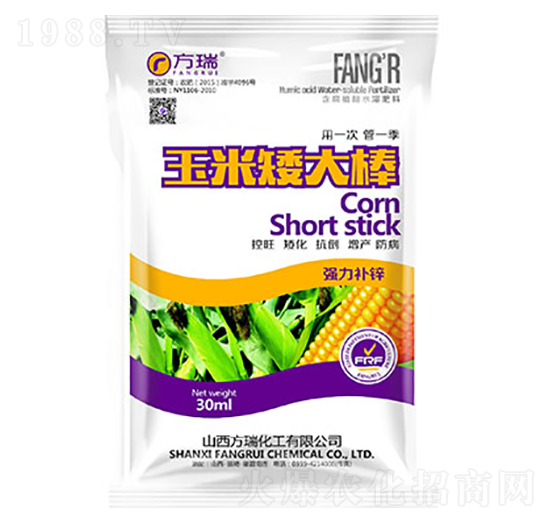 玉米矮大棒-方瑞