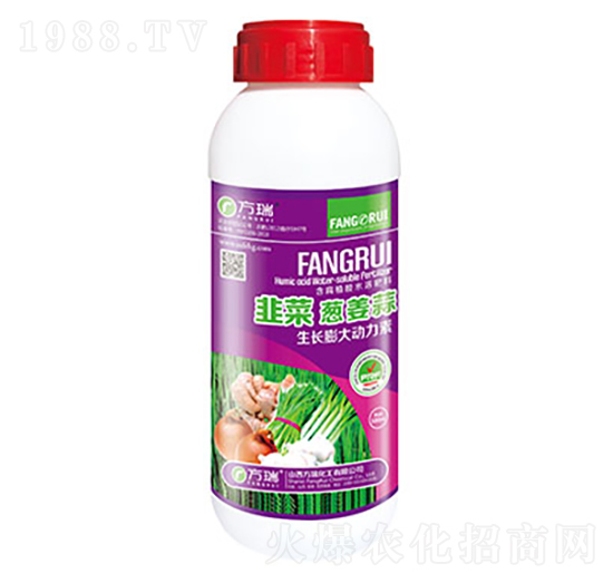 �²��[����-����