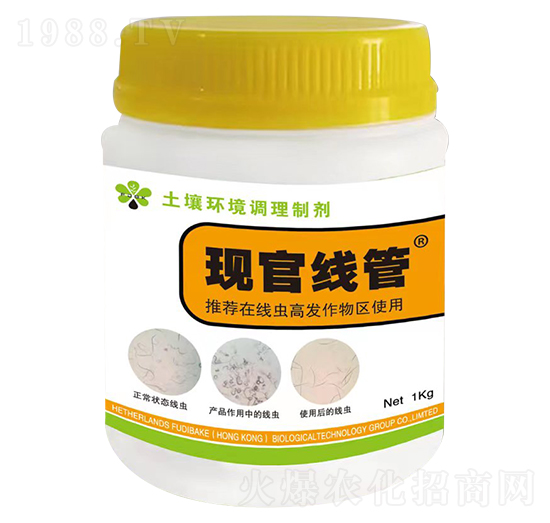 �����h(hu��n)���{���Ƅ�-�F(xi��n)�پ���-��ϰͿ�