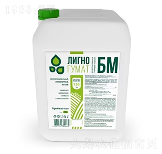 ľ�|(zh��)��6M-�Ŭ���