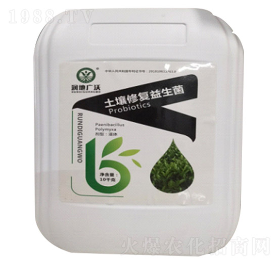 �����ޏ�(f��)������-��(chu��ng)�S�r(n��ng)�I(y��)