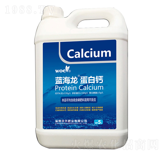 �{���������}-�֠�