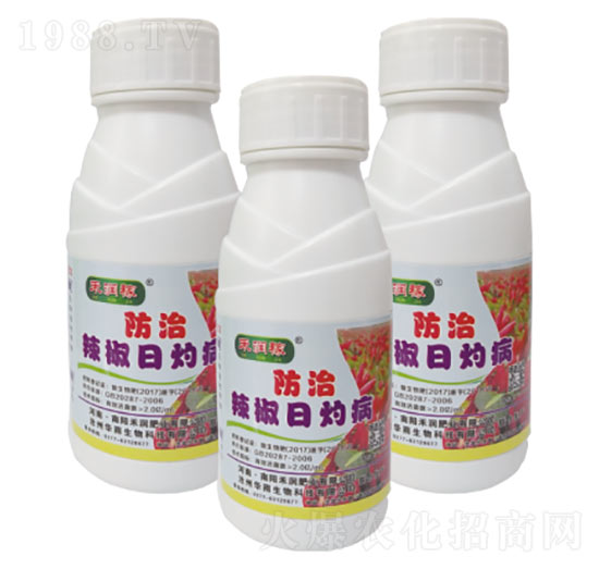 �������Ʋ�-�̝�(r��n)�ʘI(y��)