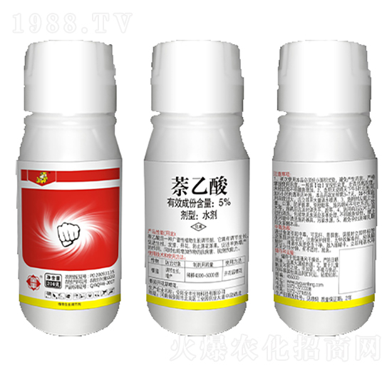 5%������-ȫ�S