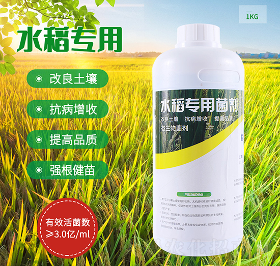 ˮ�����þ���-����